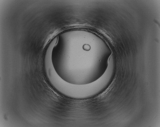 X0000097671357200803281004