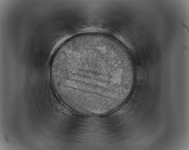 X0000097671358200803281004