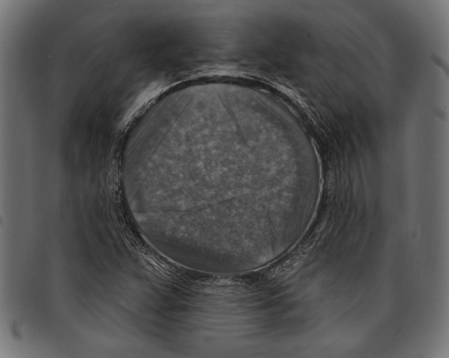 X0000097671359200803281004
