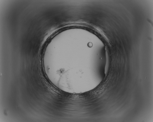 X0000097671360200803281004