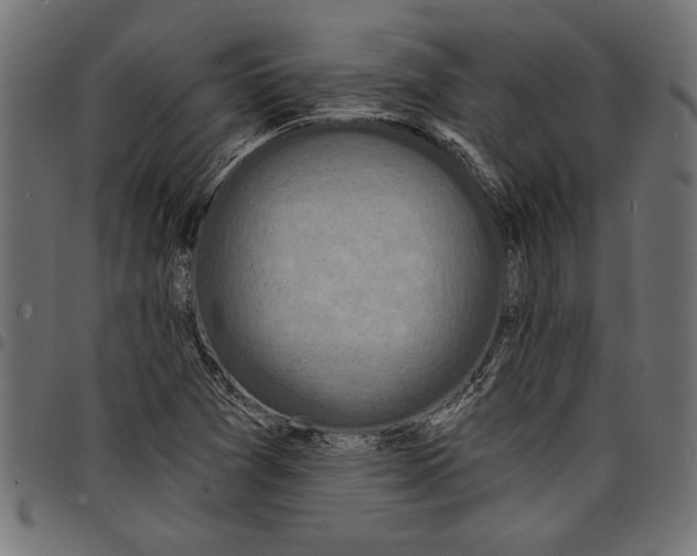 X0000097671361200803281004