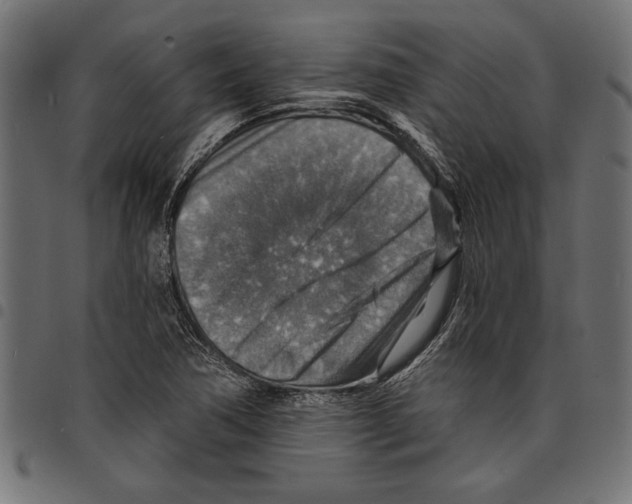 X0000097671362200803281004