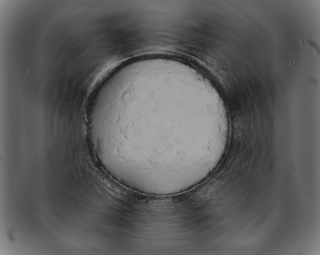 X0000097671363200803281004