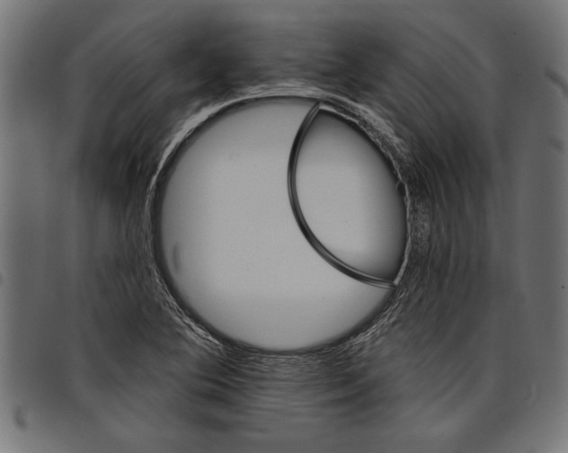 X0000097671364200803281004