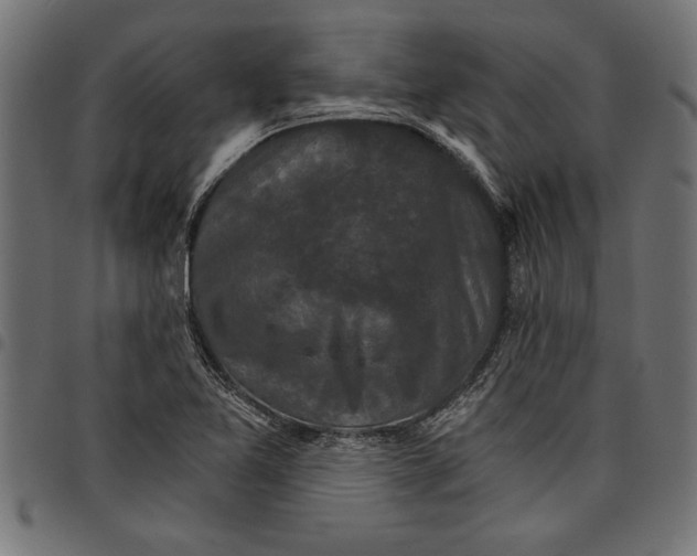 X0000097671365200803281003