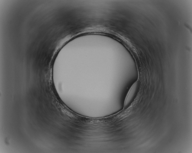X0000097671366200803281003