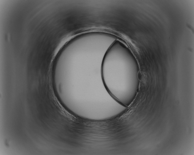 X0000097671368200803281003
