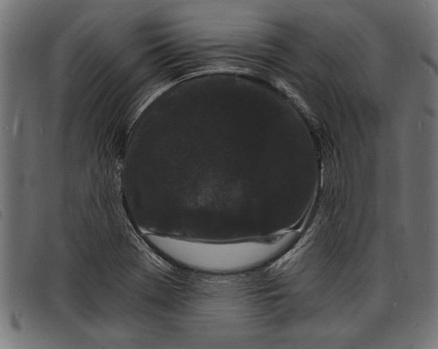 X0000097671369200803281003