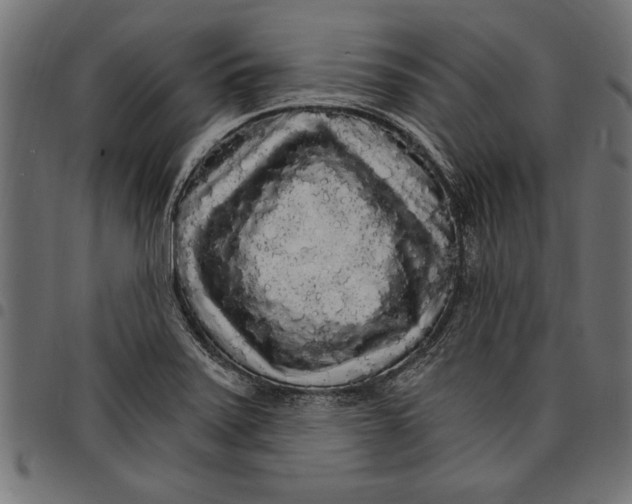 X0000097671371200803281003