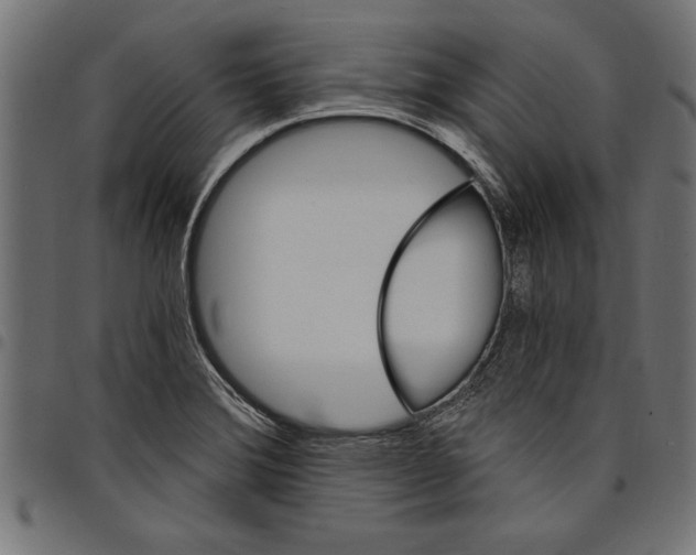 X0000097671372200803281003