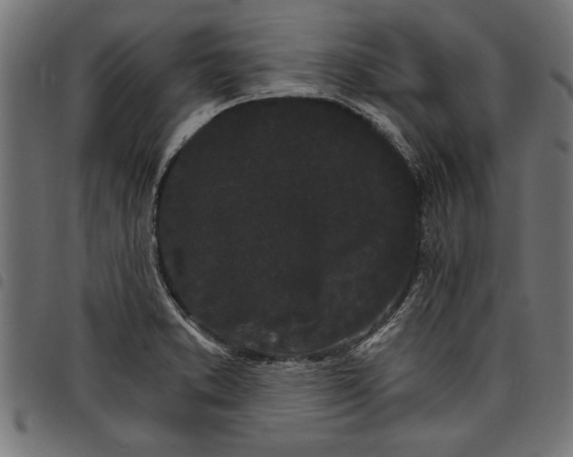 X0000097671373200803281003