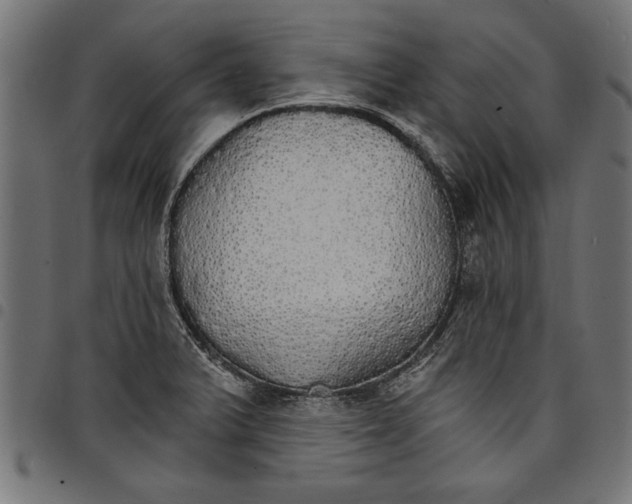 X0000097671375200803281003