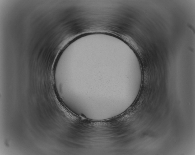 X0000097671380200803281003