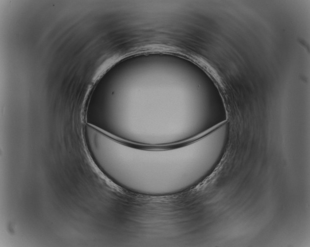 X0000097671381200803281003