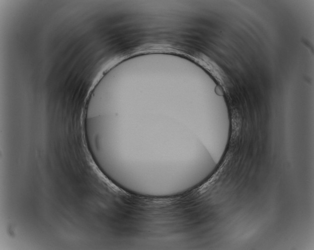X0000097671382200803281003