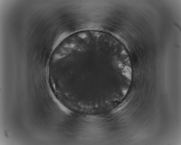 X0000097671383200803281003