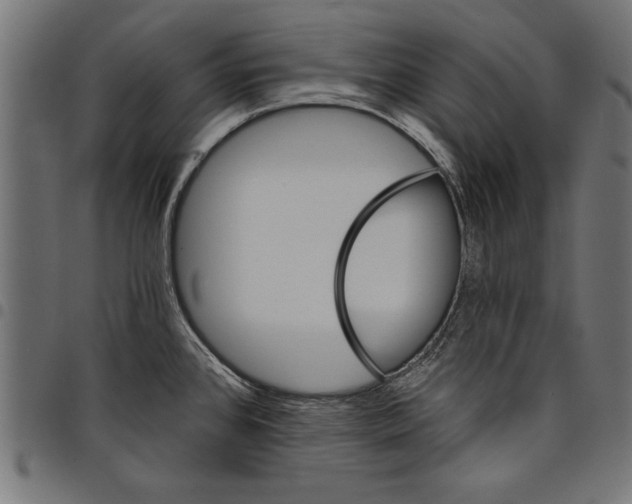 X0000097671384200803281003