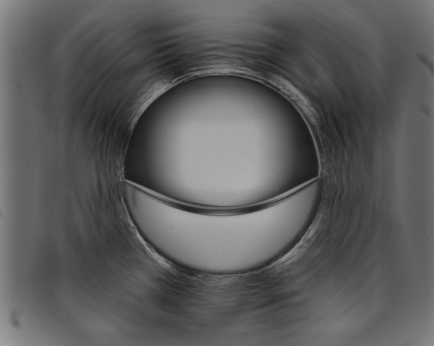 X0000097671385200803281003
