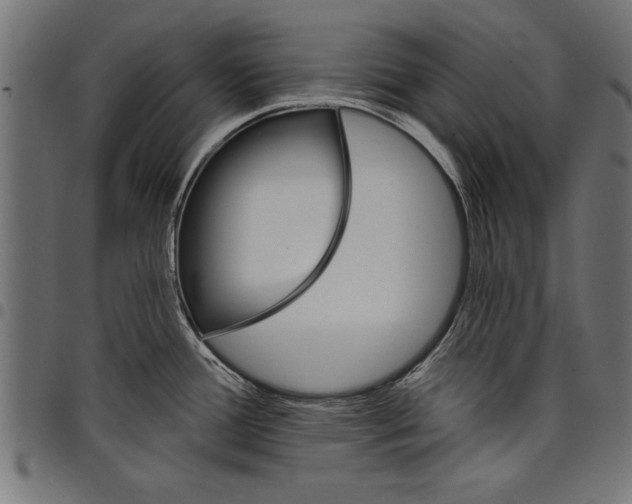 X0000097671388200803281003