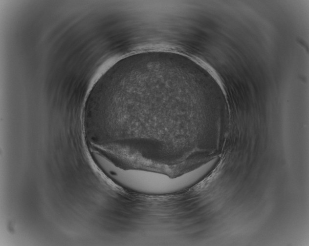 X0000097671389200803281003