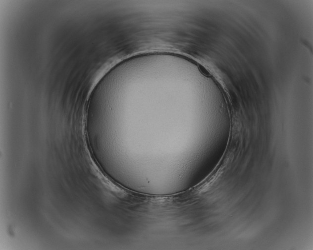 X0000097671390200803281003