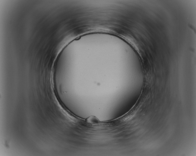 X0000097671391200803281003