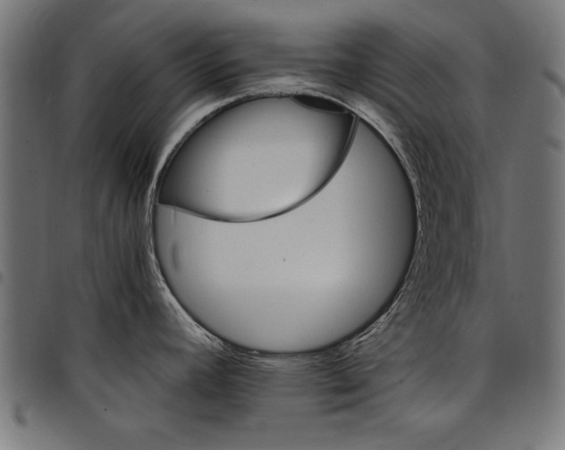 X0000097671392200803281003