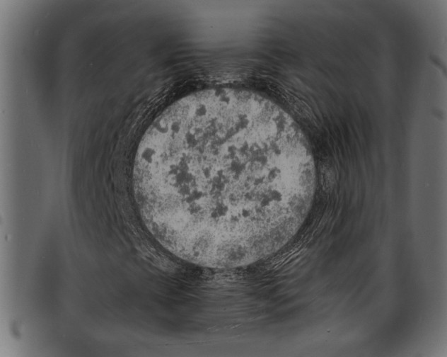 X0000097671393200803281002