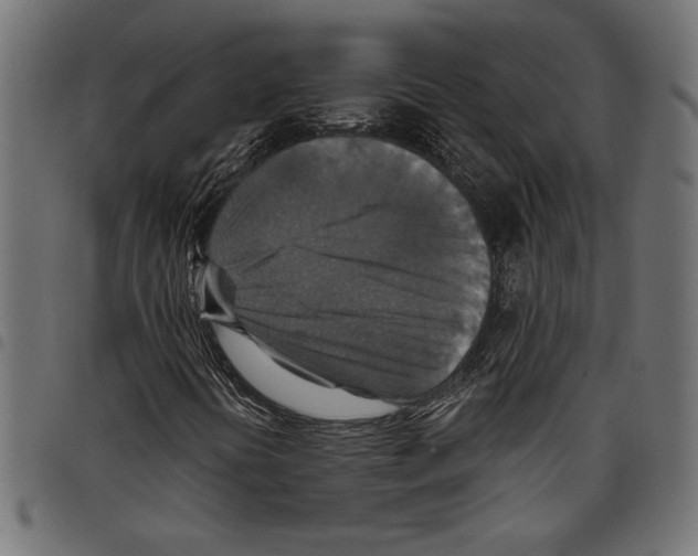 X0000097671394200803281002