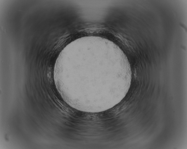 X0000097671396200803281002