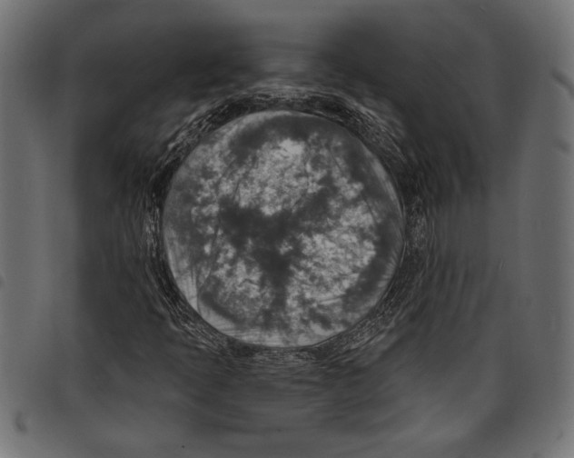 X0000097671397200803281002