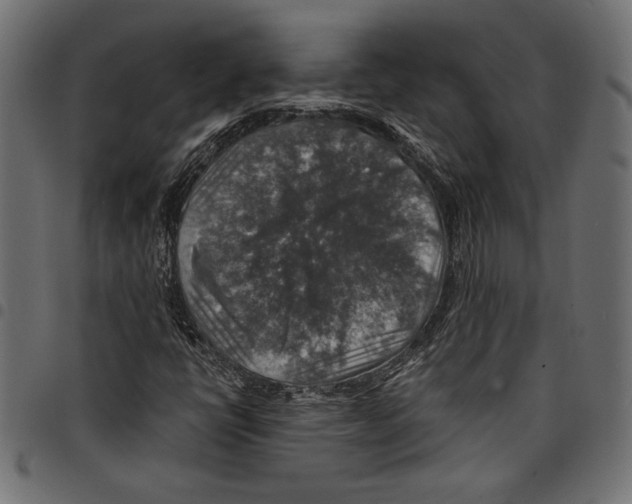 X0000097671398200803281002