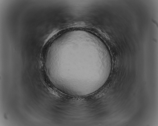 X0000097671400200803281002