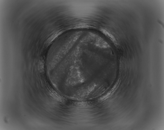 X0000097671401200803281002