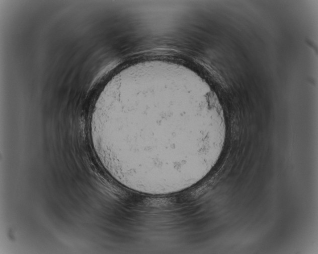 X0000097671402200803281002