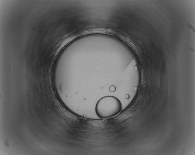 X0000097671404200803281002