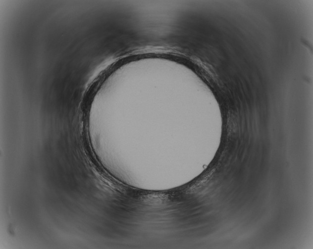 X0000097671406200803281002