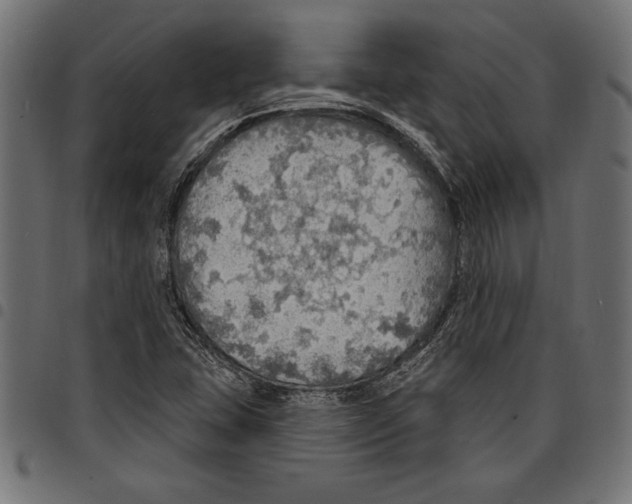 X0000097671407200803281002