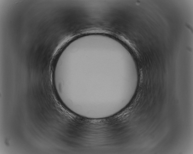 X0000097671408200803281002
