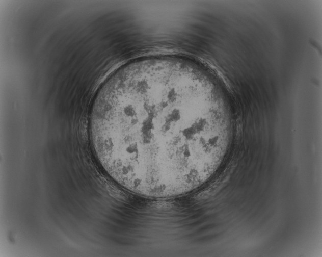 X0000097671409200803281003
