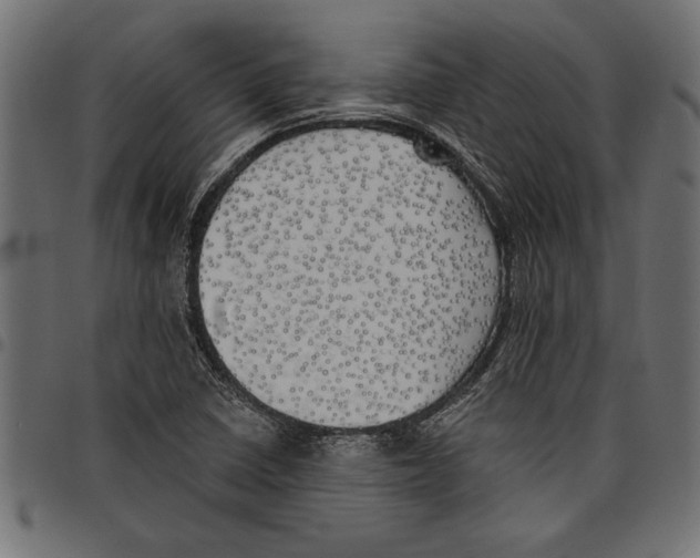 X0000097671410200803281003