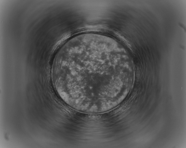 X0000097671411200803281003