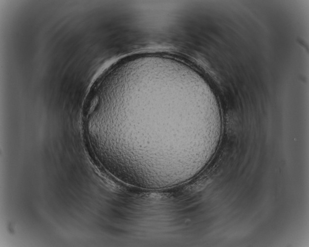 X0000097671412200803281003