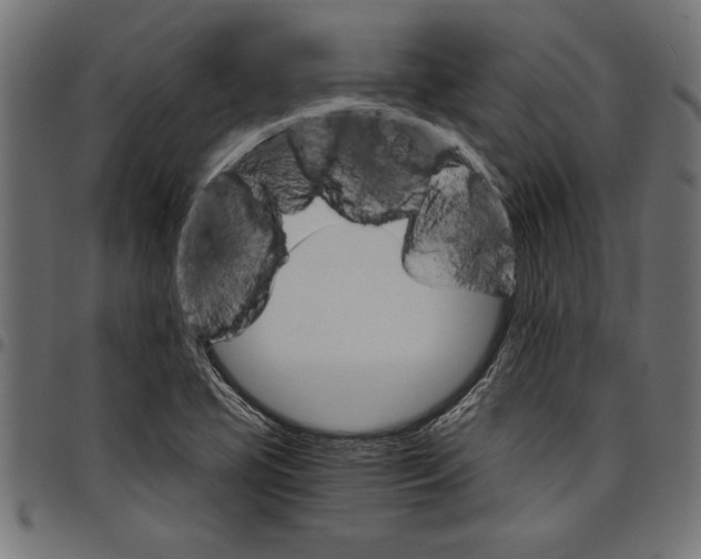 X0000097671413200803281003