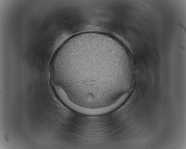 X0000097671415200803281003