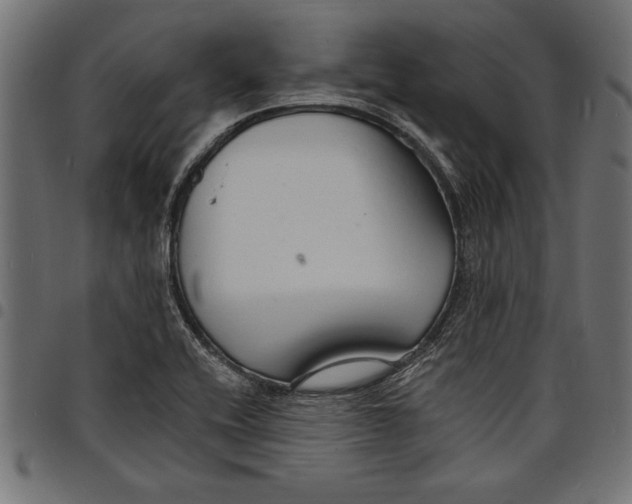 X0000097671416200803281003