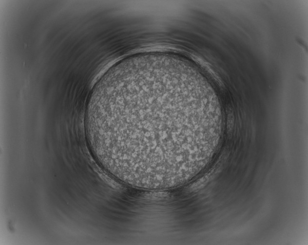 X0000097671417200803281003