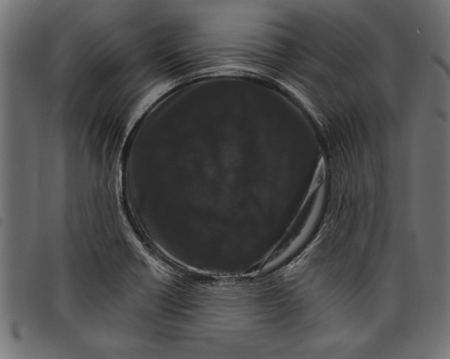 X0000097671418200803281003