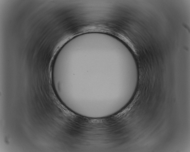 X0000097671419200803281003