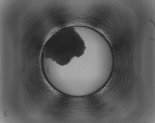 X0000097671422200803281003